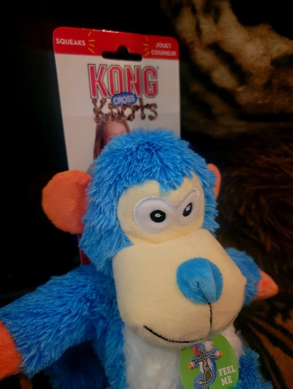 Kong dog monkey